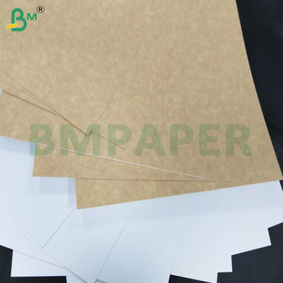 200-360 GSM Feuille de papier kraft recouverte d'un côté résistant au gel