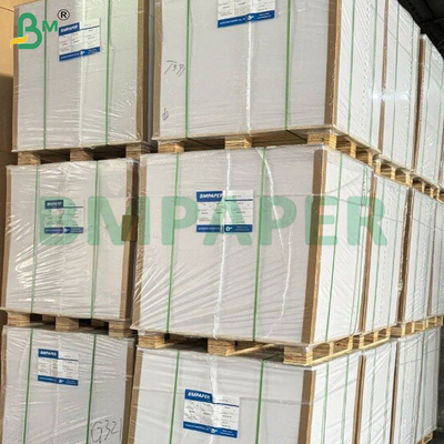 200-360 GSM Feuille de papier kraft recouverte d'un côté résistant au gel