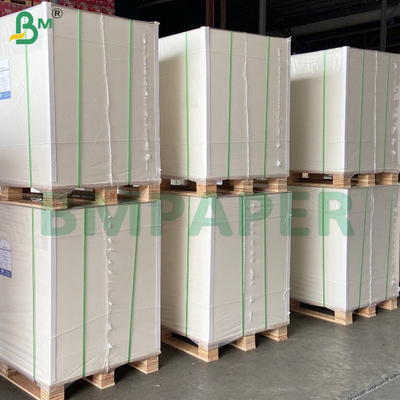 Propriétés d'absorption élevées feuilles de papier absorbant pour tapis de bière