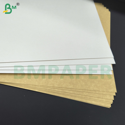 Plaque de support Kraft 325gm CKB pour les boîtes alimentaires