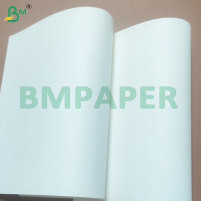 Papier d'affichage écologique certifié A4 de 80 grammes pour une utilisation de bureau durable