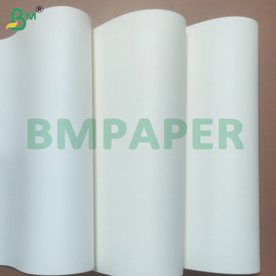 Papier d'affichage écologique certifié A4 de 80 grammes pour une utilisation de bureau durable
