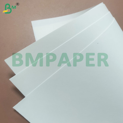 Papier d'affichage écologique certifié A4 de 80 grammes pour une utilisation de bureau durable