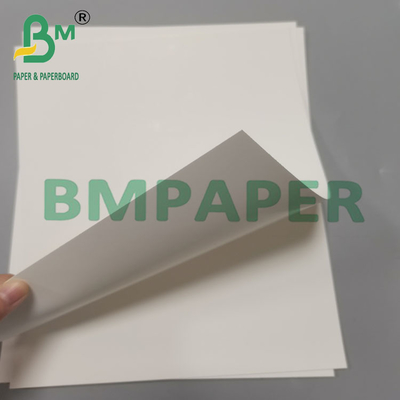 210 g 70 x 100 cm C1S Carton blanc en ivoire enduit pour boîte cosmétique