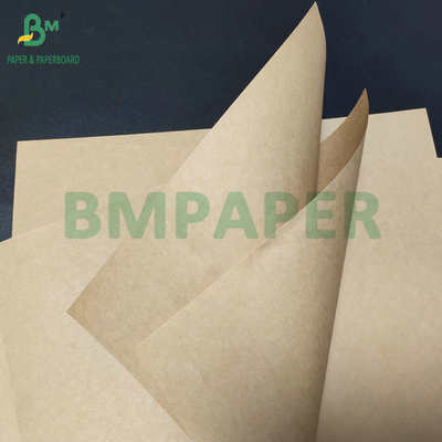 65 gm 70 gm Résistant à l'eau Résistance à l'humidité Papier kraft brun Pour sacs de semences