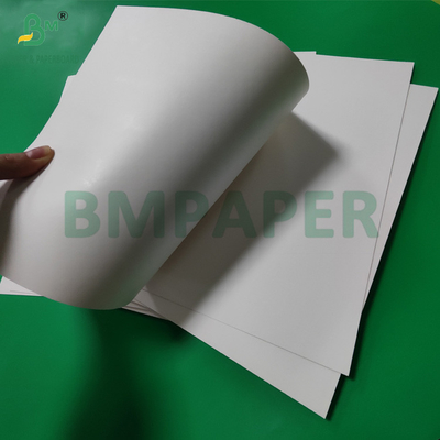 300 gm + 15 g de papier PE revêtu de tasse de stockage pour les boissons chaudes 820 mm 880 mm