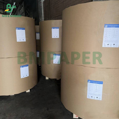 300 gm + 15 g de papier PE revêtu de tasse de stockage pour les boissons chaudes 820 mm 880 mm