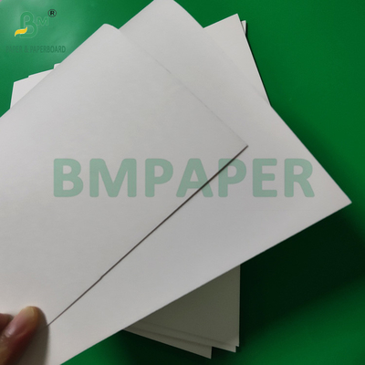 300 gm + 15 g de papier PE revêtu de tasse de stockage pour les boissons chaudes 820 mm 880 mm