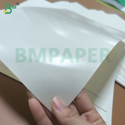 Excellente résistance à l'eau en PE revêtu de papier de tasse matière première