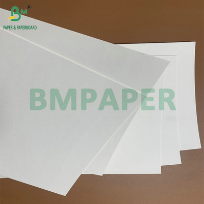 Papier absorbant l'eau de qualité alimentaire de 0,4 mm et 2 mm pour la fabrication de feuilles de sécheur