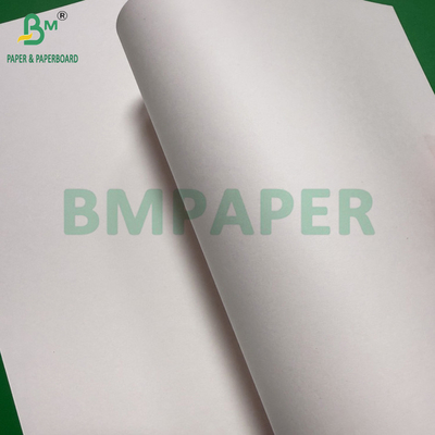 240g + 18g PE enduit de papier de stock de tasse Matte Finition d'un côté en rouleau personnalisé Large 430mm - 2100mm