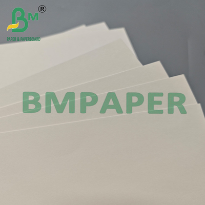 Ruloir de papier de tasse Kraft recouvert de PLA imprimable pour le thé
