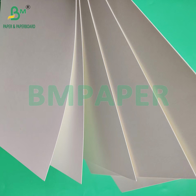 230 gm 260 gm Papier de tasse revêtu en PE à face unique pour la fabrication de papier de tasse