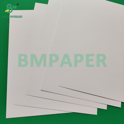 230 gm 260 gm Papier de tasse revêtu en PE à face unique pour la fabrication de papier de tasse