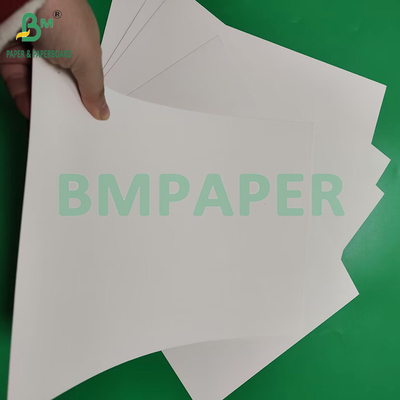 230 gm 260 gm Papier de tasse revêtu en PE à face unique pour la fabrication de papier de tasse