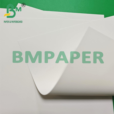 Ruloir de papier synthétique en PP étanche à l'eau blanc brillant pour affiches