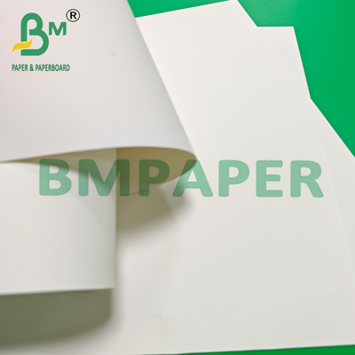 Ruloir de papier synthétique en PP étanche à l'eau blanc brillant pour affiches