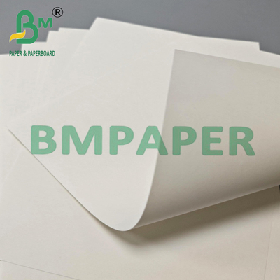 15 grammes de PE 260 g de qualité alimentaire 100% papier à base de tasse de Kraft brun vierge