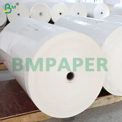 50 grammes de feuilles de papier de filtre de café sans danger pour les aliments blancs
