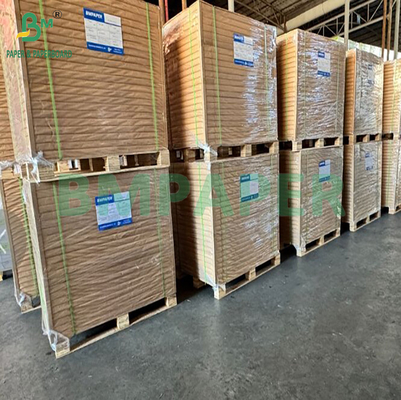 210 gm 215 gm Papier d'ivoire revêtu de qualité alimentaire pour l'emballage des frites