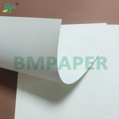 Papeterie à base de tasse blanche blanchie lisse et recyclable rouleaux 230gm