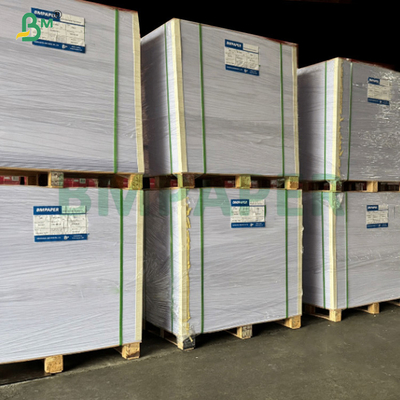 300 gm 350 gm Carton blanc non recouvert pour collier