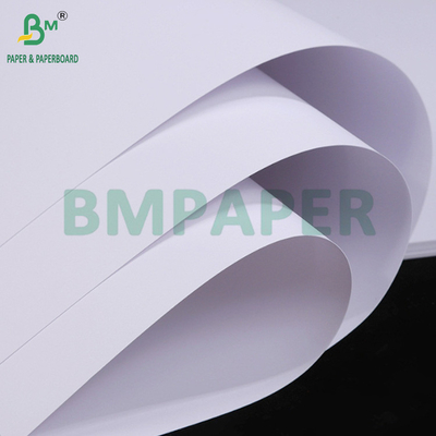 300 gm 350 gm Carton blanc non recouvert pour collier
