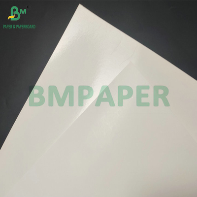 Surface lisse 290gm + 15gm PE SBS Carton Pour boîte d'emballage congelé
