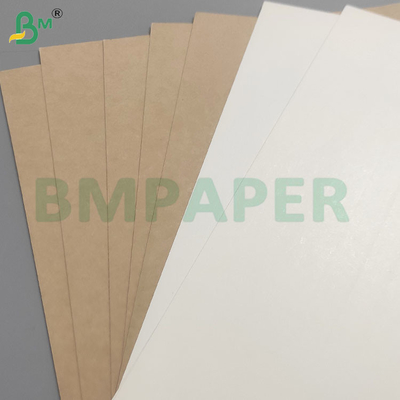 Sécurité alimentaire 200+10GSM Feuilles de papier revêtues de PET pour les contenants alimentaires
