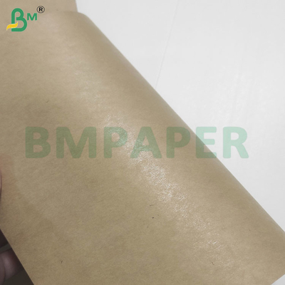 Sécurité alimentaire 200+10GSM Feuilles de papier revêtues de PET pour les contenants alimentaires