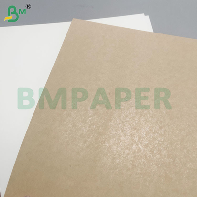 Sécurité alimentaire 200+10GSM Feuilles de papier revêtues de PET pour les contenants alimentaires