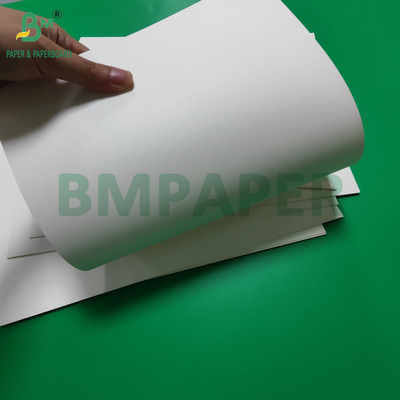 PTFE laminé étanche à l'eau 300 gm Carton blanc pour boîte à lunch recyclable
