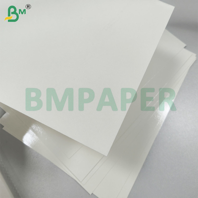 Peinture PET blanche en papier de service alimentaire pour plaque de papier résistant à la graisse