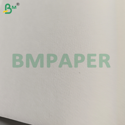 50GSM feuilles de papier filtre alimentaire pour filtre à café et à thé
