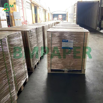 Emballage de fruits de mer - Carton alimentaire - Couché polyéthylène 1 face - Résistant aux basses températures