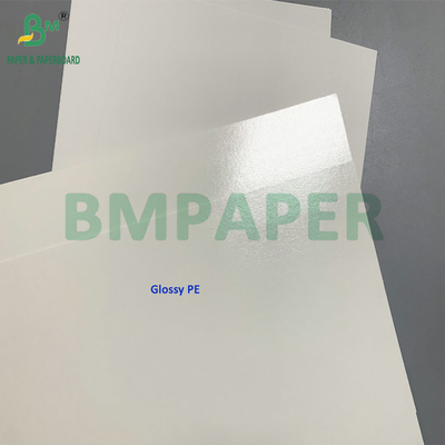 Carton congelé C1S 275gsm + 15gsm PE pour boîte d'emballage de crevettes/poissons