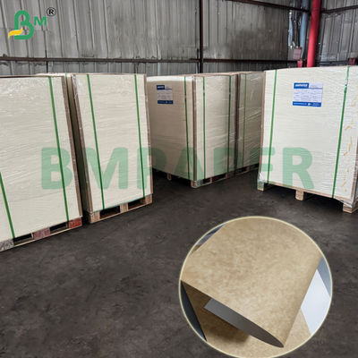 275g CKB Coated Kraft Back Board For Beverage Carrier Good Strength 70 x 100cm
