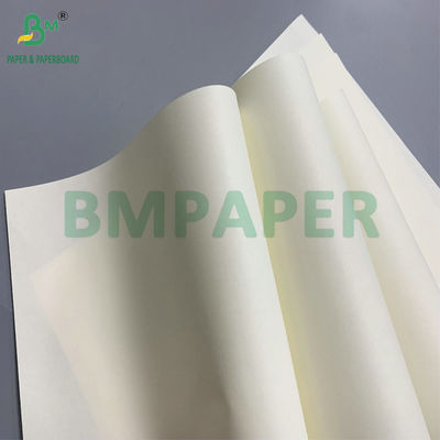 Papier sans bois écologique en pâte de bois 70g/80g/100g ivoire, respectueux des yeux