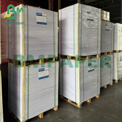 Papier Kraft Blanc Laminé Anti-Graisse 75gsm pour la Cuisson des Aliments 500x600mm