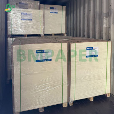 240 grammes + 20 grammes de papier de base en rouleau recouvert de PLA biodégradable
