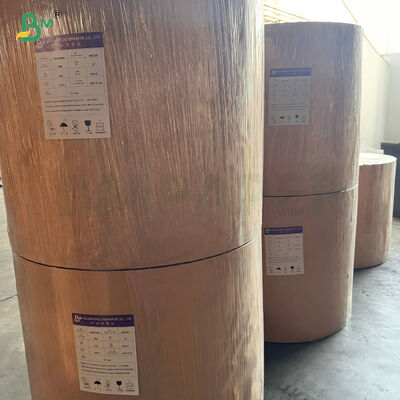 Kit 3 Kit 5 Kit 7 Rouleaux de papier résistant à l'huile et dégradable pour blanchiment