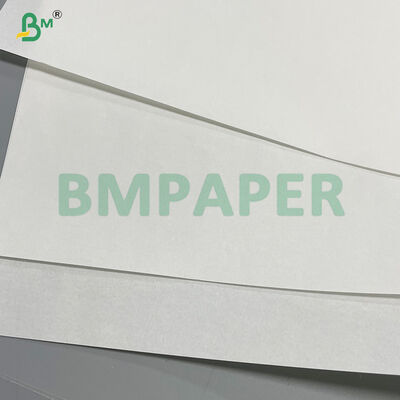 Papier sulfurisé blanc dégradable 38gsm pour emballage d'aliments frits