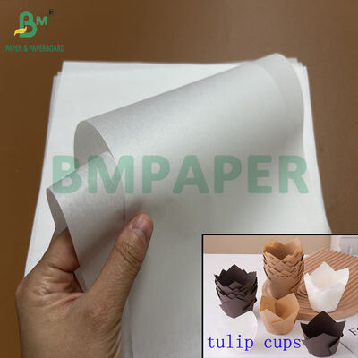 Papier résistant à la graisse et à la sécurité alimentaire 30 g/m² 40 g/m² pour moule à tulipe 1100 mm 1200 mm en rouleau