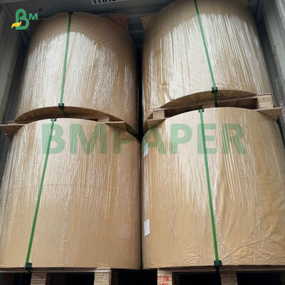 48g 55g Blanc Chaud - Papier Caisse à Revêtement Sensible pour Reçus de Point de Vente