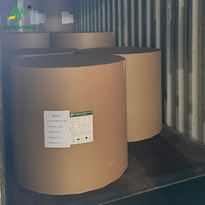 Carton CCNB Couché PE 18PT 24PT pour Boîtes d'Emballage de Produits Surgelés