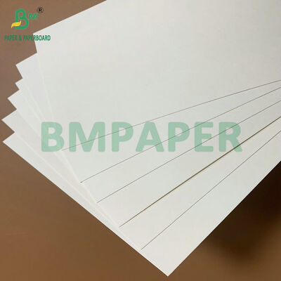 Waterproof & Grease Resistant Food Grade 250-350gsm PE Coated Paper for Disposable Food Trays & Takeout Containers