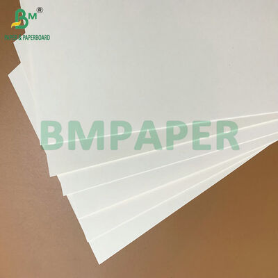 Waterproof & Grease Resistant Food Grade 250-350gsm PE Coated Paper for Disposable Food Trays & Takeout Containers