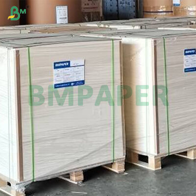 315g + 15g Carton PET Blanc Couché Qualité Alimentaire pour Assiette Alimentaire