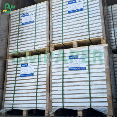 250/300gsm Papier Poster Brillant Double Face 787mm*1092mm