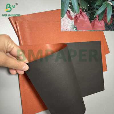 Papier d'emballage ciré 56gsm pour fruits rouges, pour la culture fruitière, 90cm 100cm